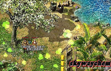 热血传奇道士衣服排列