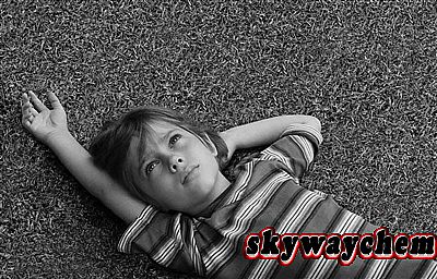 ʢ����������ţװ��