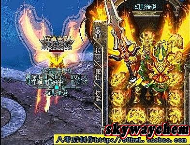 ���Ŵ���������Ԫ��