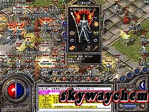 ��Ѫ�����̬װ��