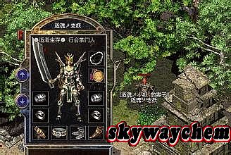 ���濪������