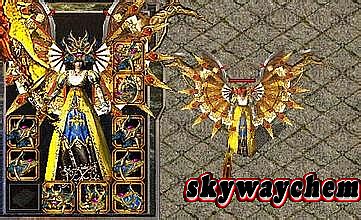 ��Ѫ�����ʿ��ô����